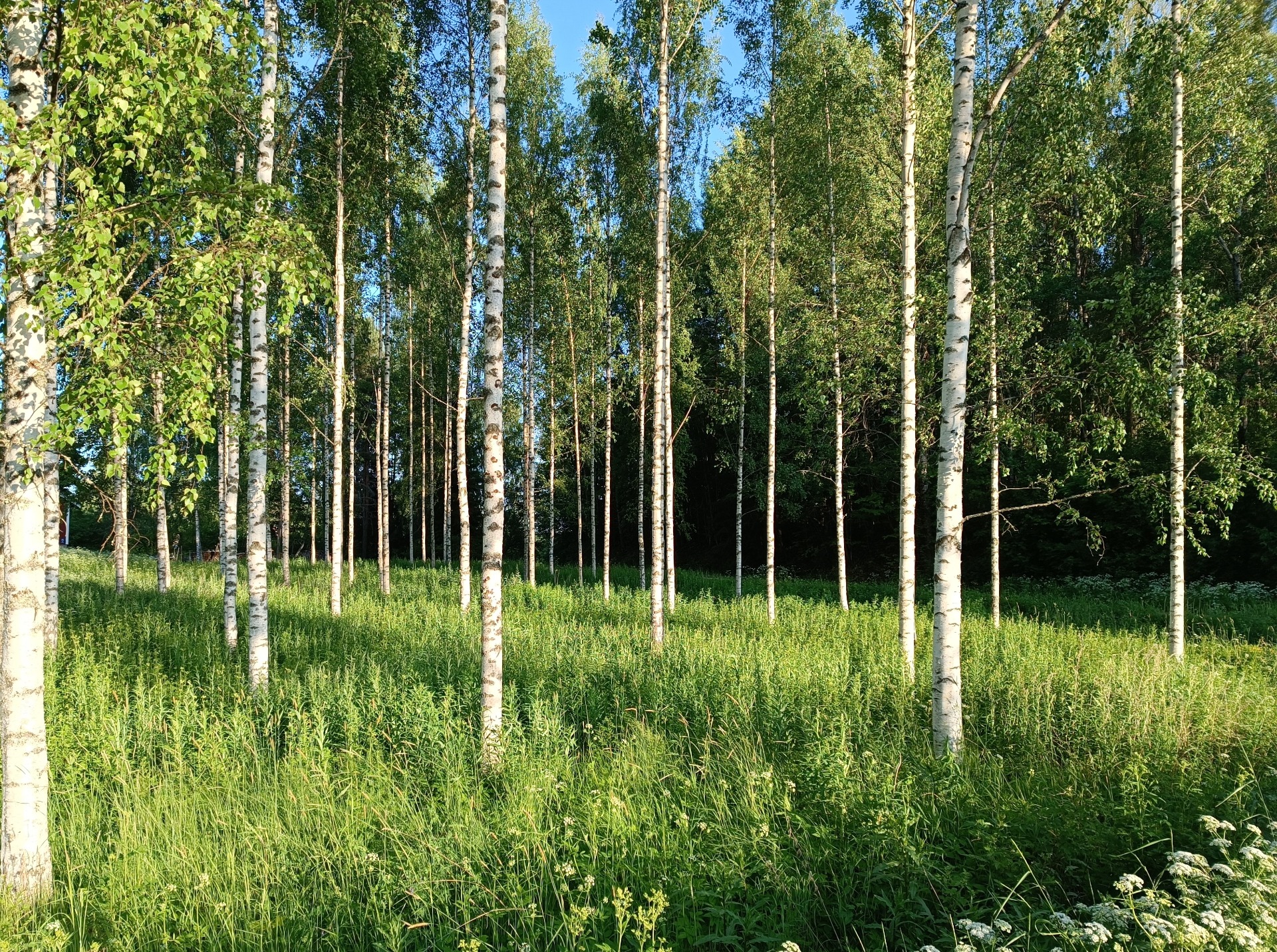 Ilmalämpöpumppu on ympäristöystävällinen valinta!